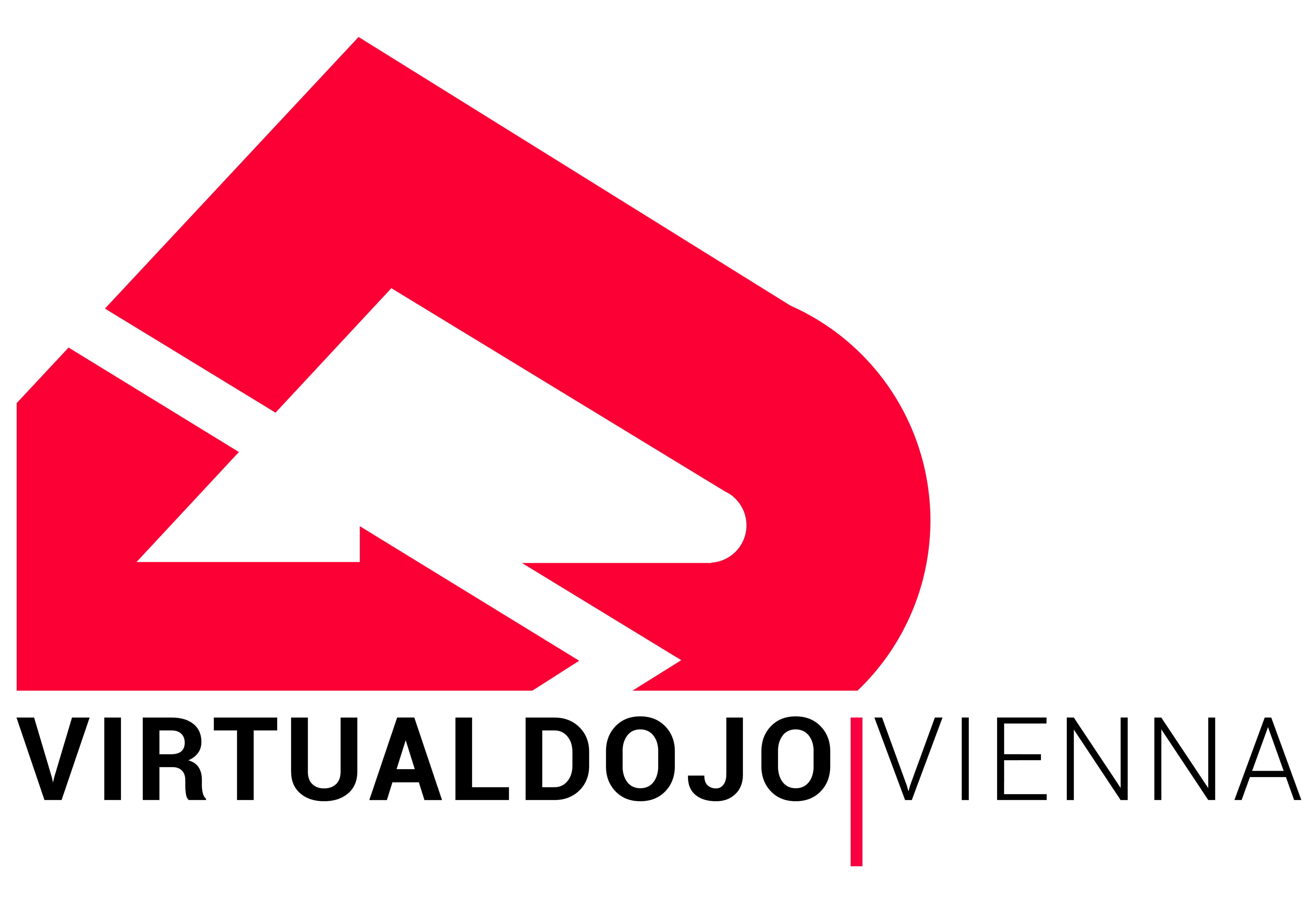 VDV Logo 2